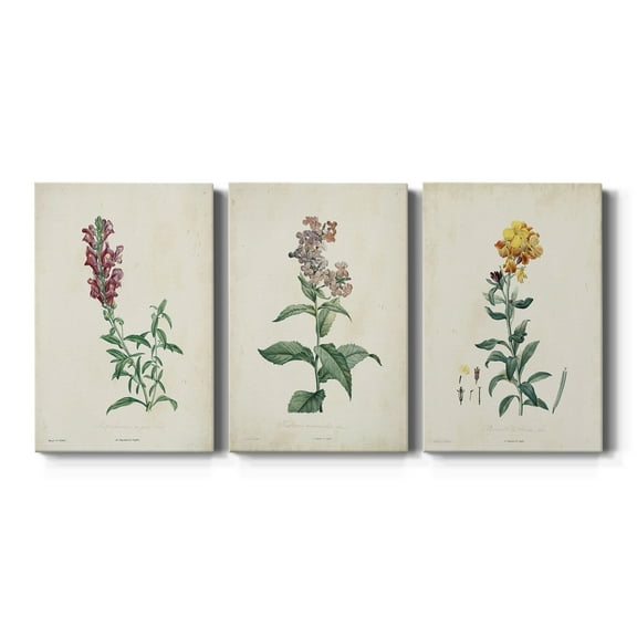 Traditional Botanical I Premium Gallery Wrapped Canvas - Ready to Hang - 18 x 27 Each
