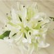 thumbnail image 5 of Plantas Artificial Flor Ramo Seda Decoración Boda Casa Colco Ramo de la boda, 5 of 8