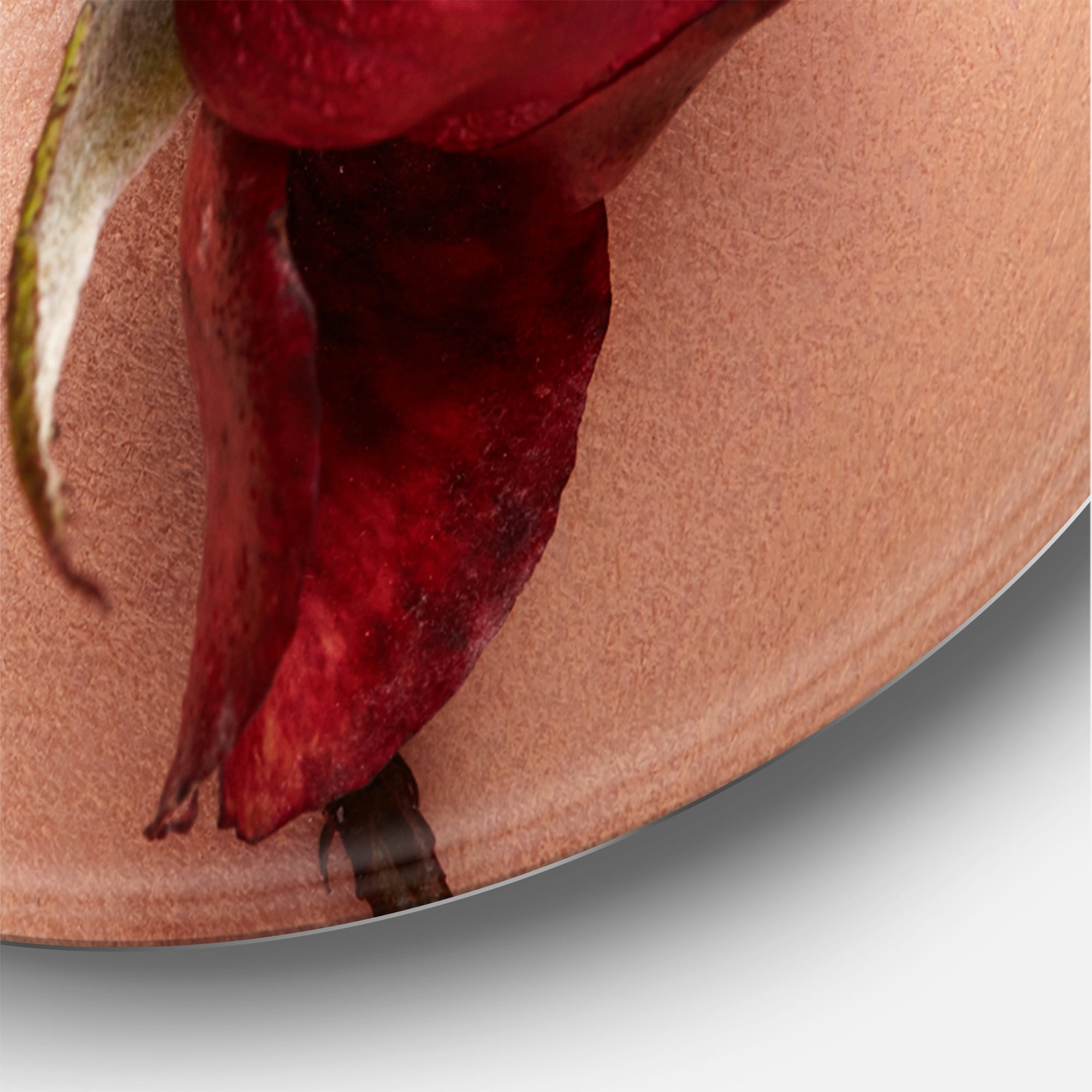 Designart 'Girl With Red Lipstick Holding A Rose In Mouth' Modern Circle Metal Wall Art 23x23 - Disc of 23