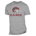 thumbnail image 2 of Men's Alternative Apparel Heathered Gray Winston-Salem State Rams The Keeper T-Shirt, 2 of 3