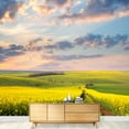 thumbnail image 3 of wall26 - Yellow Flowering Fields, Ground Road and Beautiful Valley, Nature Spring Landscape - Removable Wall Mural | Self-Adhesive Large Wallpaper - 100x144 inches, 3 of 6