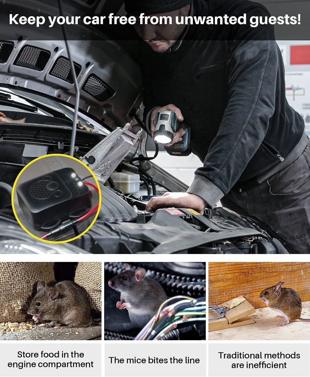 The Unwanted Passenger: Handling a Mouse Living in Your Car