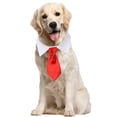 thumbnail image 2 of Gato Perro Collar Pajarita Algodón Mascota Corbata formal para fiesta de boda (Rojo S) JShteea  Libre de BPA, 2 of 4
