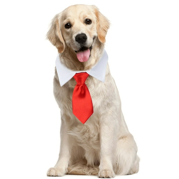 Dog collar and tie cheap