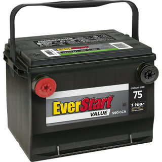 Vintage EverStart Starter 75 2/12/75 Amp 12 Volt Battery Charger