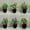 -, variant on 4pcs/set, Small Fake Plants In White Planters, Artificial Plants For Home Decor Indoor, Plastic  Plants For Office Desk Bathroom Bedroom Greenery Decoration