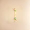 thumbnail image 2 of Elastic Rope Feather Cat Toy with Catnip Ball, Interactive Teaser Stick for Teeth Cleaning and Boredom Relief, Yellow, 2 of 3