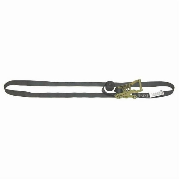 Lift-All Tiedown,Rtcht Strap Asmbly,700lb,Endless 60107