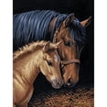 thumbnail image 1 of Cuadros Decorativos (DF3698) 5D DIY taladro completo diamante pintura caballo bordado mosaico Craft Kit (w573) 50x70cm Ndcxsfigh Nuevos Originales, 1 of 1