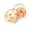 Cream / Apricot, variant on Baby Girl Ranunculus Flower Stretchy Nylon Elastic Headbands Set 2pcs - Medium - Mustard Yellow / Plum