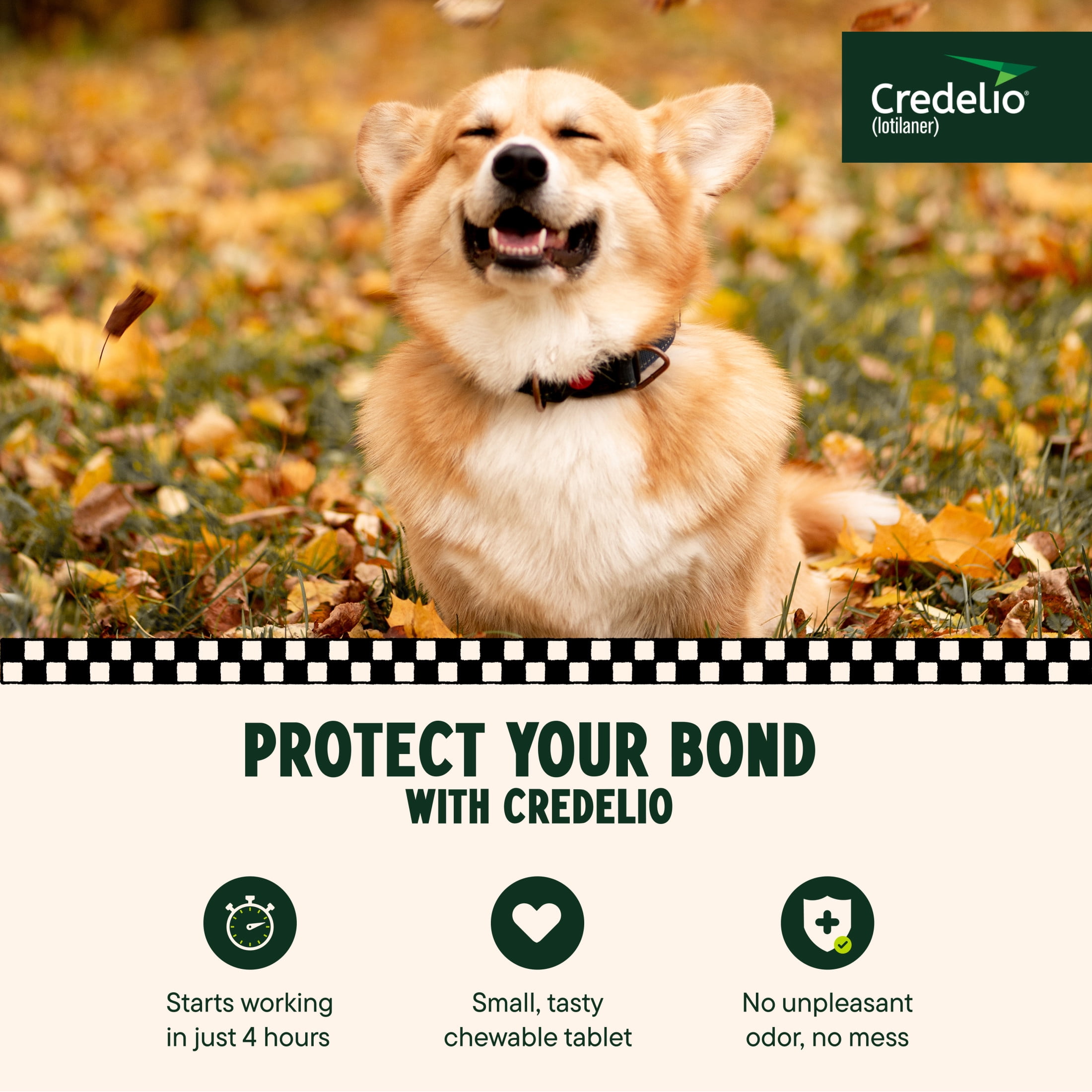 Credelio (lotilaner) Tick & Flea Treatment + Flea Infestation Protection for Dogs 12.1-25.0 lbs. (6 Tablets)