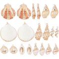 thumbnail image 1 of Charm SUNNYCLUE, 20 unidades, conchas de cauri naturales con ribete dorado, 1 of 6