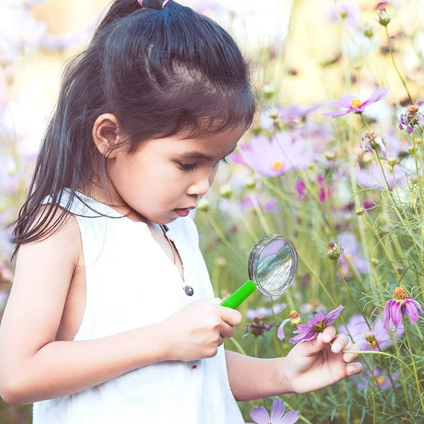 Pack De 12 Mini Lupas De Colores Para Niños – Ideales Para Fiestas, Clases De Ciencias Y Observación