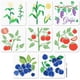 thumbnail image 1 of Plantillas de 8 frutas y verduras de 11,8 x 11,8 pulgadas para arándanos, uvas, maíz y tomates, con pincel, para cosecha de frutas de granja., 1 of 9