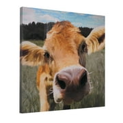 Crystal Art Gallery Inquisitive Cow Canvas Art Print 20" x 20"
