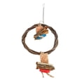thumbnail image 2 of Hanging Swing Toy, Bird Swing Perch Food Colouring  For  S, 2 of 8