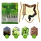 thumbnail image 3 of (A)$Sijiyoumei Candied Green Plums Halal Edition, 3 of 5