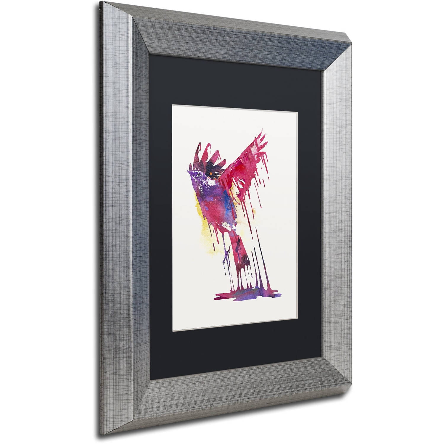Trademark Fine Art 'The Great Emerge' Canvas Art by Robert Farkas, Black Matte, Silver Frame