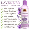 thumbnail image 4 of OKAY LAVENDER  LEAVE IN CONDITIONER 8oz / 237ml, 4 of 7