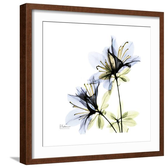 Art.com Blue Azalea Premium Giclee Print by Albert Koetsier, Brown Frame Wall Art, 21" x 21"