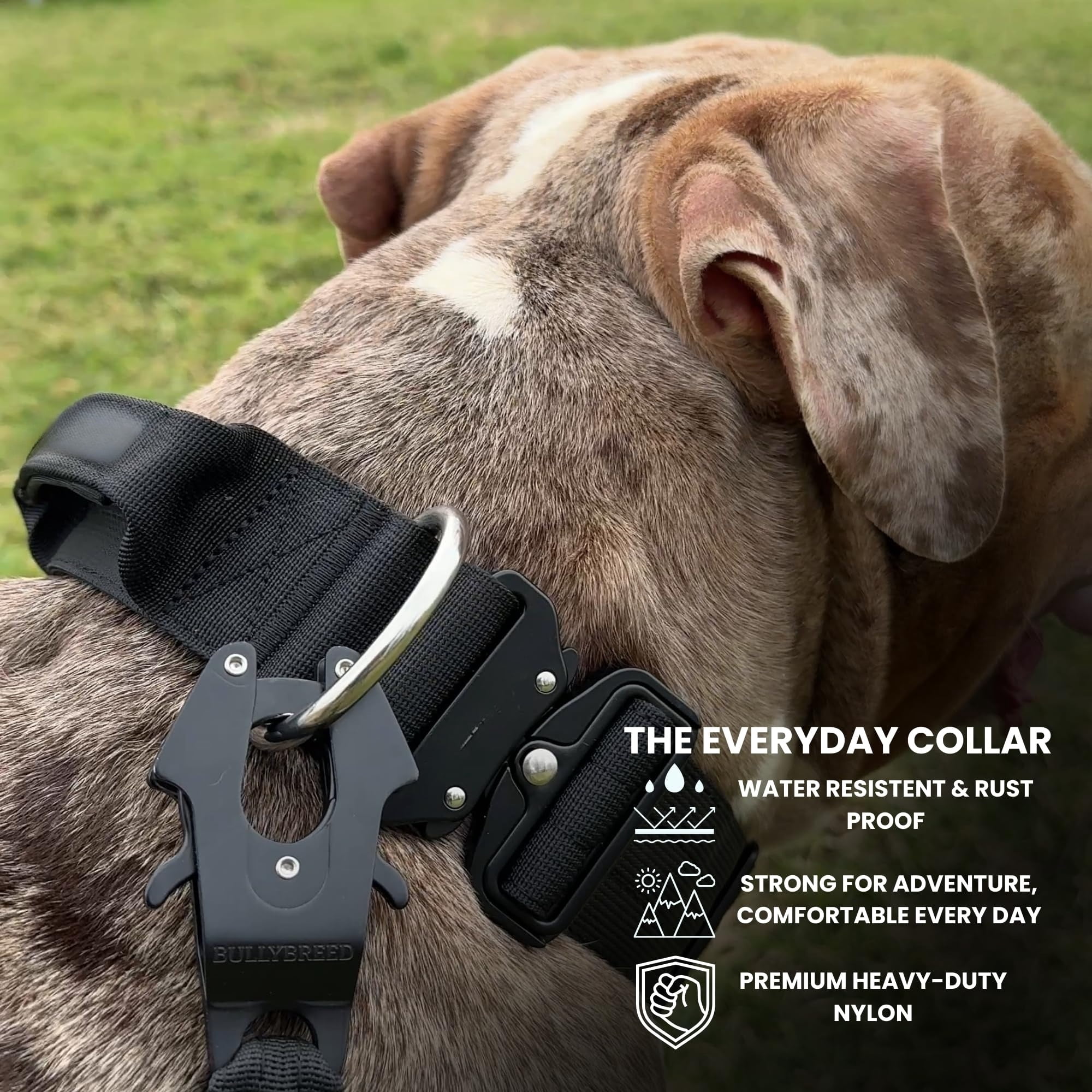 Lohol Tactical Dog Collar – Heavy Duty Dog Collar, Dog Collars for Medium Dogs, Waterproof Dog Collar, Dog Training Collar, Quick-Release Metal Buckle, Adjustable Sizes (Aquamarine, Medium)