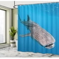 thumbnail image 5 of Ambesonne Ocean Shower Curtain, Swimming Whale Sea, 69"Wx75"L, Dimgray Blue, 5 of 5