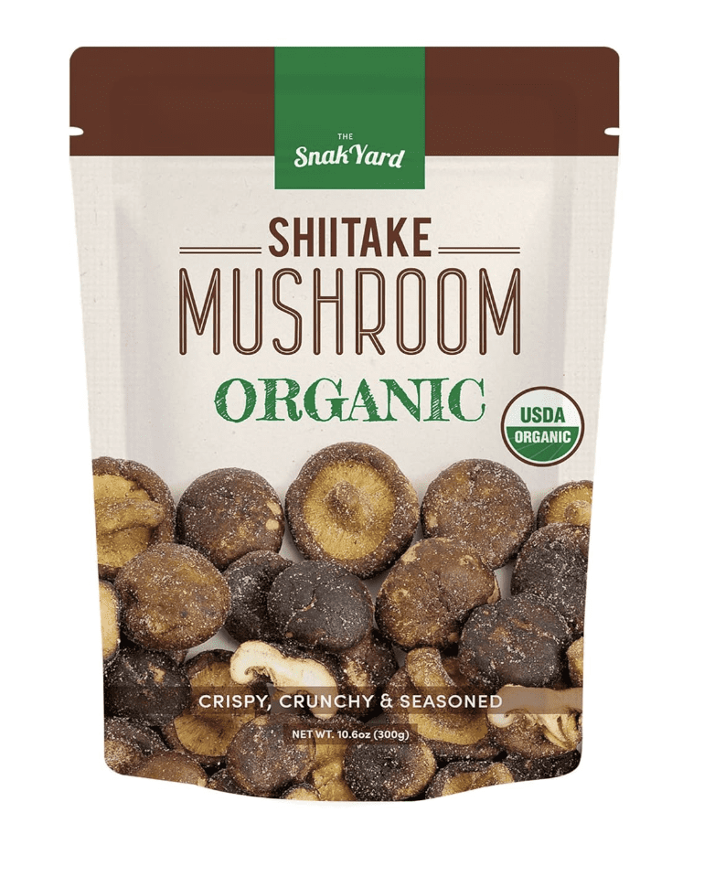 ホンマタカシ / SCANDINAVIAN MUSHROOM SCANDINAVIAN MUSHROOM : BK150344 | Brisées webshop