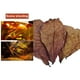 thumbnail image 2 of Acuario Elemi Leaf NUEVO B3Z0, 2 of 8