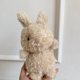 thumbnail image 1 of JELLYCAT Little Series Little Plush Cordero rizado Pollo Cerdo Conejo Pingüino Oso Perro Gato Pequeño Dragón Dorado Muñeca, 1 of 5