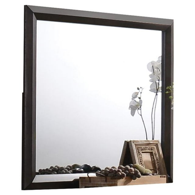 Benzara BM205578 Transition Style Miroir en Bois avec Forme Rectangulaire&44; Brun & Argent