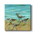 thumbnail image 1 of Sandpipers III-Premium Gallery Wrapped Canvas - Ready to Hang, 1 of 3