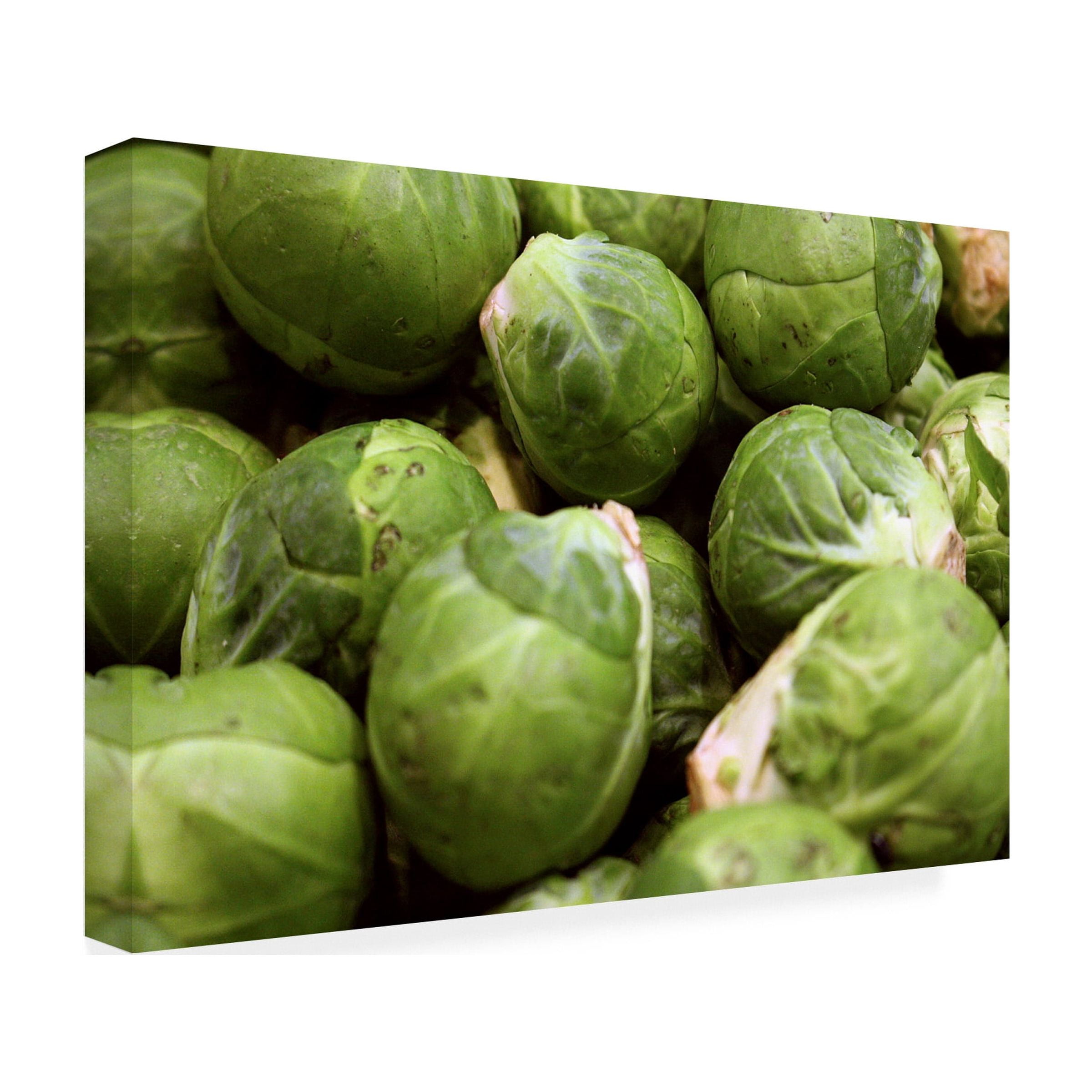 Canvas Wall Art - DANE 'Food 83' Wall Art for Living Room, Bedroom, or Office Décor by Trademark Fine Art - 24 x 16 Inches