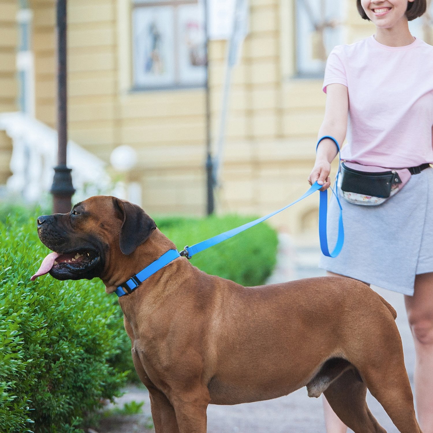 Ultra-Modern Waterproof Dog Leash | Anti-Slip Dog Leash for Large, Small and Medium Dogs | Strong and Durable Leash with Water & Dirt-Resistant | Great for Hiking, Training and Swimming - Blue