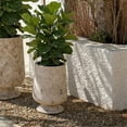 thumbnail image 2 of Safavieh Stark Antique White Ficonstone Plant Pot, 2 of 7