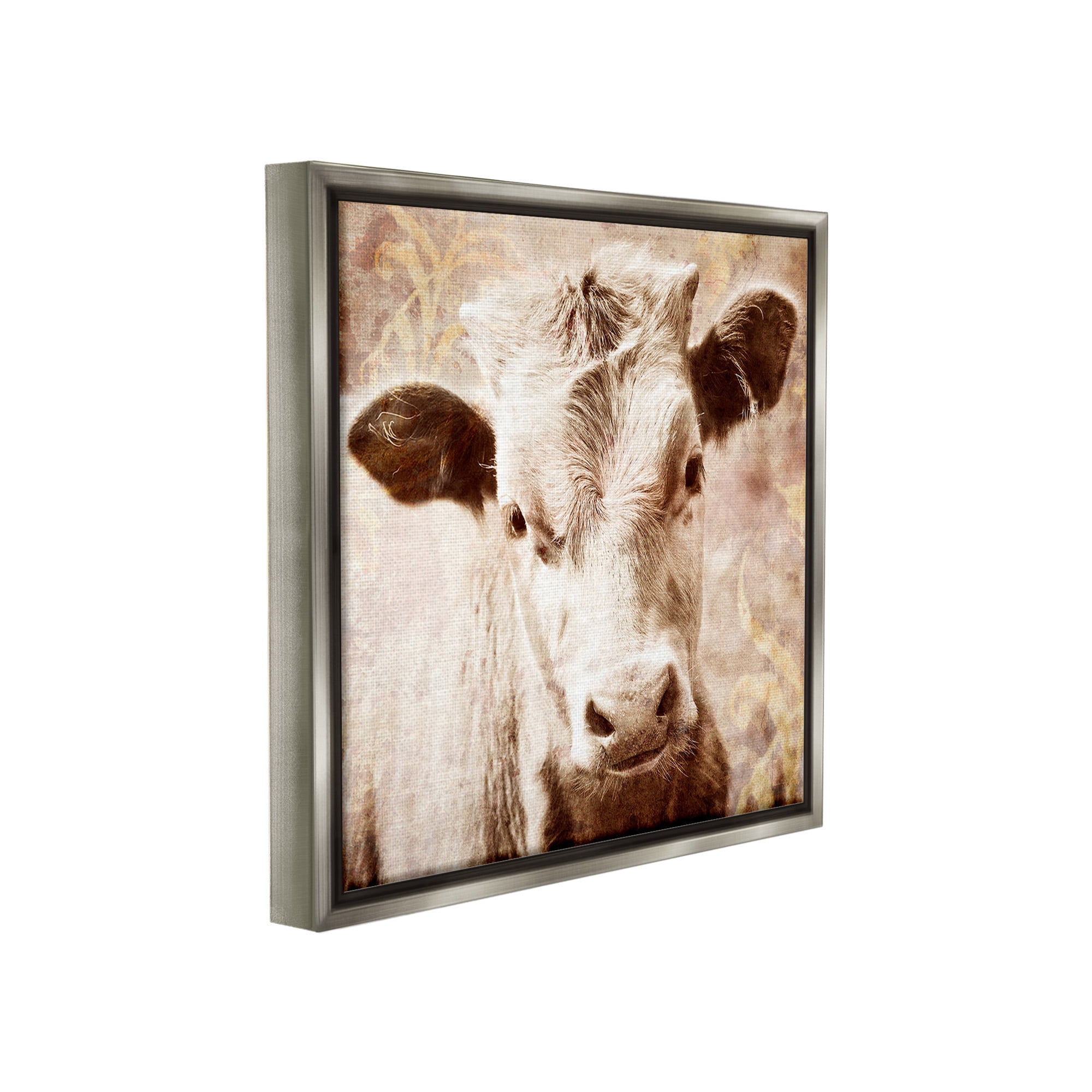 Stupell Industries Abstract Sepia Cattle Animals & Insects Photography Gray Floater Framed Canvas Art Print Wall Art, 18 x 18