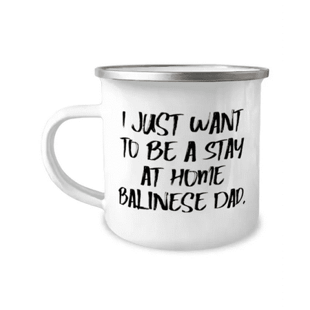 

Cute Balinese Cat I Just Want to Be a Stay at Home Balinese Dad Birthday 12oz Camper Mug For Balinese Cat