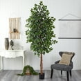 thumbnail image 2 of Nearly Natural 8' Ficus Artificial Tree, 2 of 7