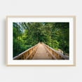 thumbnail image 2 of Freedom Park - Charlotte North Carolina Photography Bridge Forest Nature Scenic Landscape Autumn Travel Poster Unframed Wall Art Print 4 x 6 inches, 2 of 7