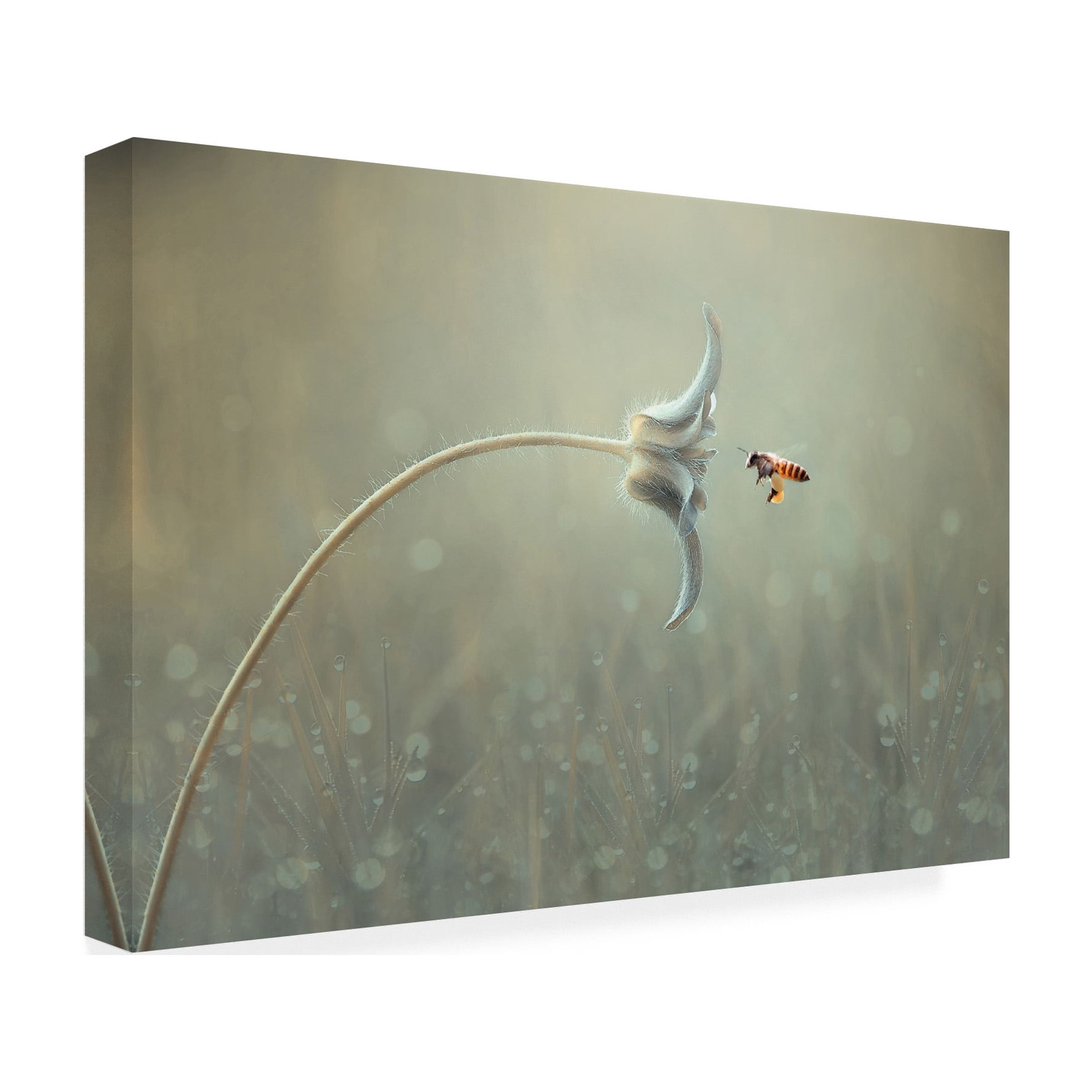 Edy Pamungkas 'On The Way' Canvas Art