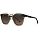 thumbnail image 5 of Gafas de Sol WearMe Pro Demi Polarizadas Vintage Cuadradas para Mujer, 5 of 7
