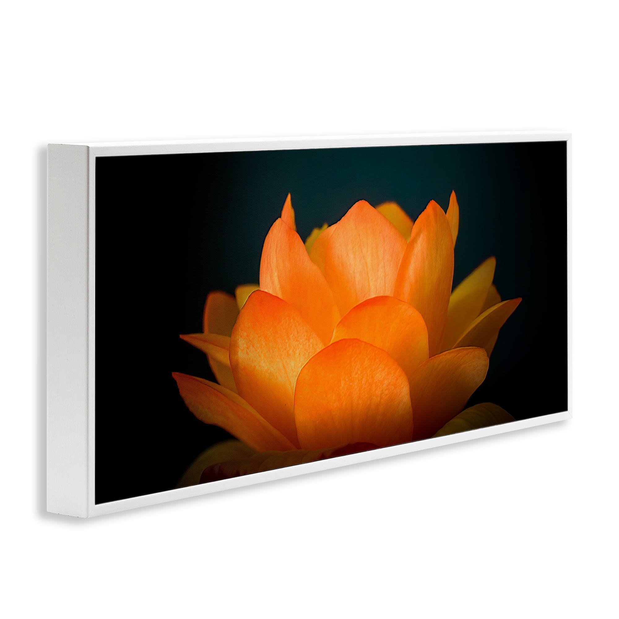 Glowing Orange Lotus White Framed Giclee Art, design by Phillip Flowers