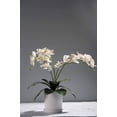 thumbnail image 3 of Paquete de 6 hojas de orquídeas Phalaenopsis, raíces artificiales de aspecto real, plantas táctiles, arreglo de hojas de imitación verde Fason CZJJ-HQ60, 3 of 6
