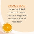 thumbnail image 6 of Citrus Magic Natural Odor Eliminating Air Freshener Spray Orange Blast 3 fl oz Pack of 4, 6 of 7