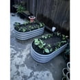 thumbnail image 5 of 4x2x1FT Galvanized Raised Garden Bed Kit Oval Metal Ground Planter Box Outdoor Bottomless Planter Raised Beds for Vegetables Flowers Herbs Fruits, Gray, 5 of 18