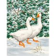 thumbnail image 1 of Carolines Treasures ASA2012CHF Oies Drapeau Toile Maison Taille, 1 of 4