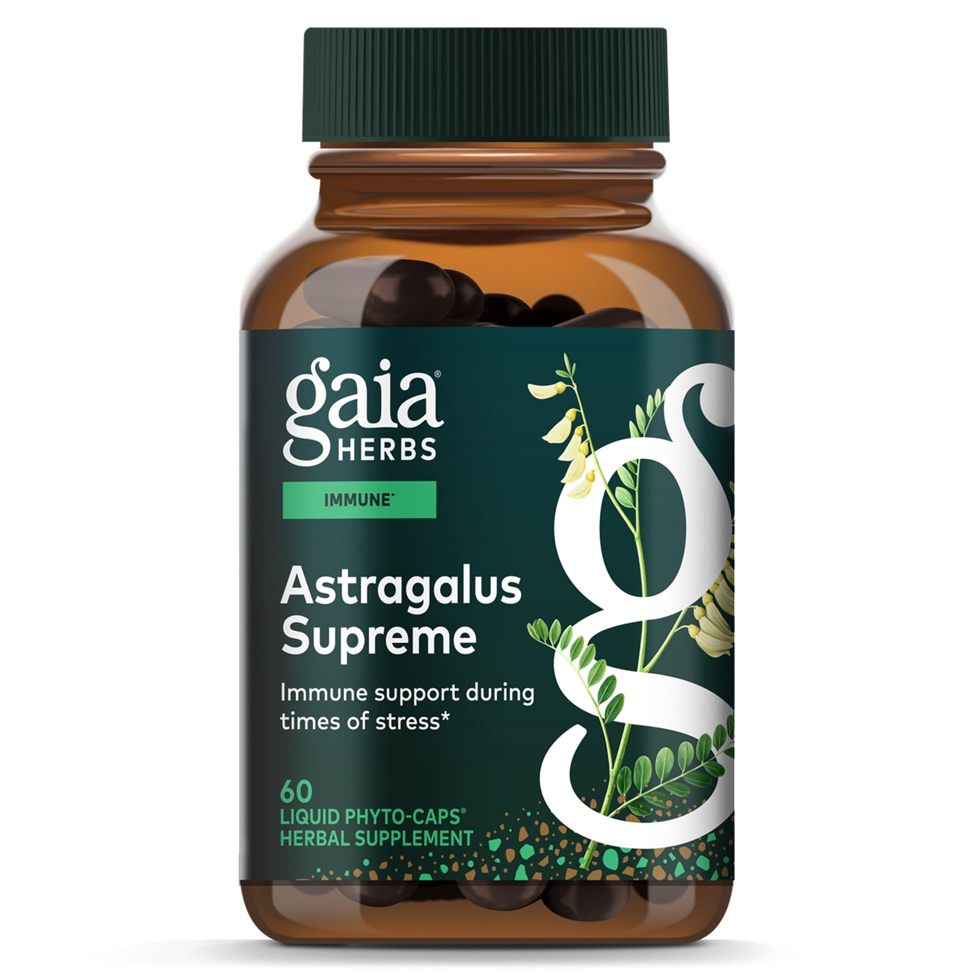 Gaia Herbs Astragalus Supreme - Immune & Antioxidant Support* - Herbal Supplement with Astragalus Root, Schisandra Berry & Ligustrum - 60 Vegan Liquid Phyto-Caps (30 Servings)