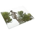 thumbnail image 3 of Print: Full-Sized Reproduction Of The Statue Of David By Michelangelo, 3 of 4