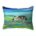 thumbnail image 1 of Betsy Drake ZP1197 20 x 24 Po Oreiller Intérieur et Extérieur Zippé de Surface Tortue de Mer&44; Extra Large, 1 of 1