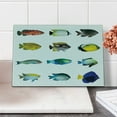 thumbnail image 2 of Fish Cutting Board, Egyptian Fauna Bannerfish Goldfish Parrotfish Wildlife Nature Red Sea Theme Image, Decorative Tempered Glass Cutting and Serving Board, Small Size, Multicolor, by Ambesonne, 2 of 5