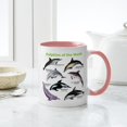 thumbnail image 6 of CafePress - Dolphins Of The World Mug - 11 oz Ceramic Mug - Novelty Coffee Tea Cup, 6 of 6